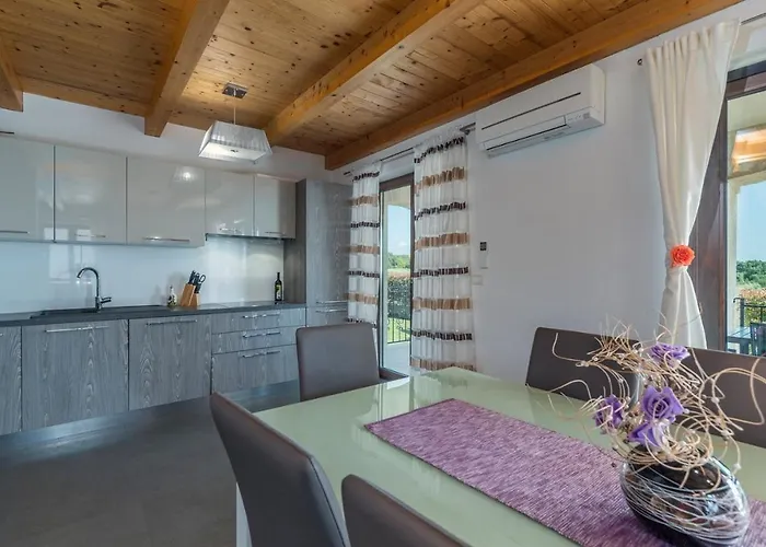 Vanesa With Private Pool Nearby Porec Vila